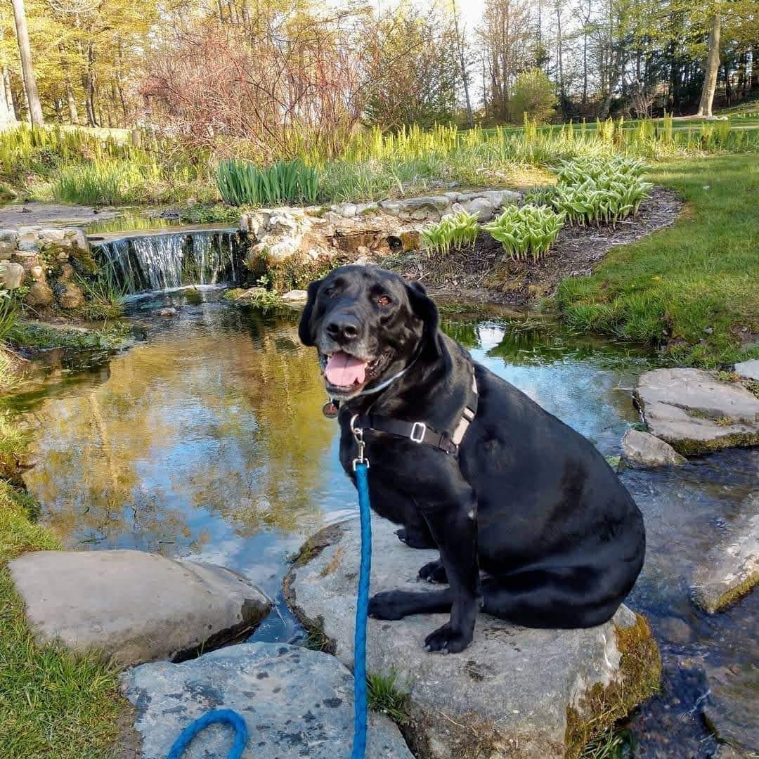 Hands of Little Shepherd